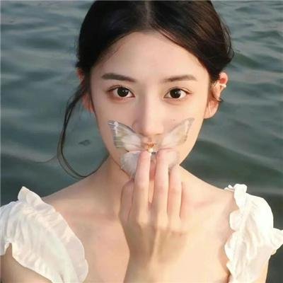 爱情与鸽子